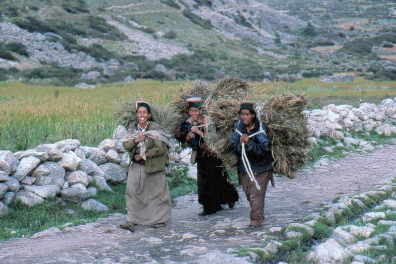 Kinnauri girls