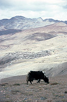 Indian Himalaya