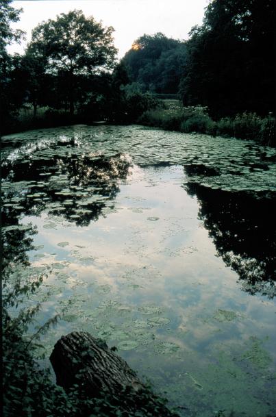 Amelisweerd