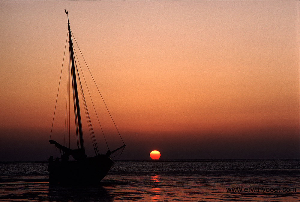 Wadden