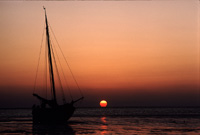 The Netherlands
