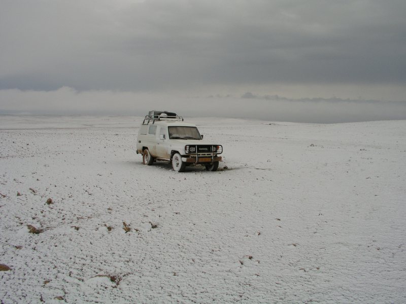 Operation Desert Snow, Syria