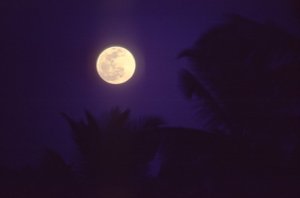 Moonrise in Goa, India