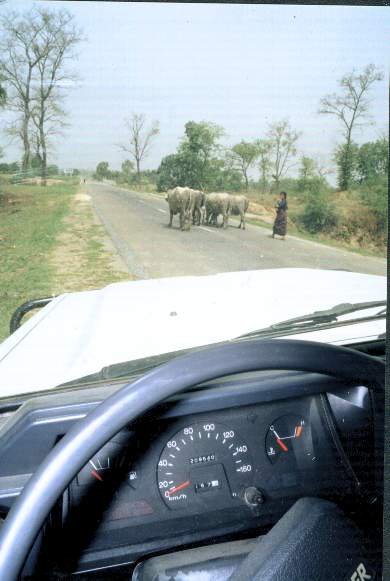30000 km foto in Nepal
