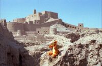 Teigetje in Bam, Iran