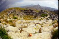 Teigetje in Sagalassos, Turkije