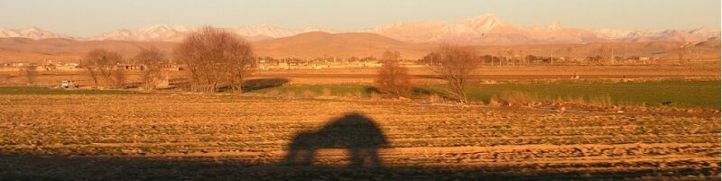 Shadow of the LandCruiser