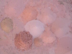 Zuurstokzand in Wadi Rum