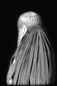 Pathan lady in the traditional burqua, Peshawar