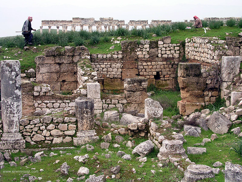 Apamea