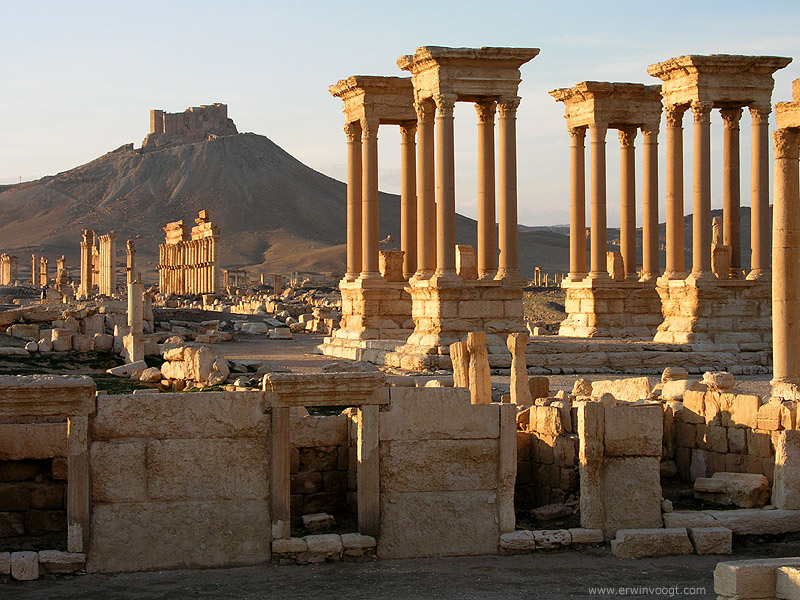 Palmyra